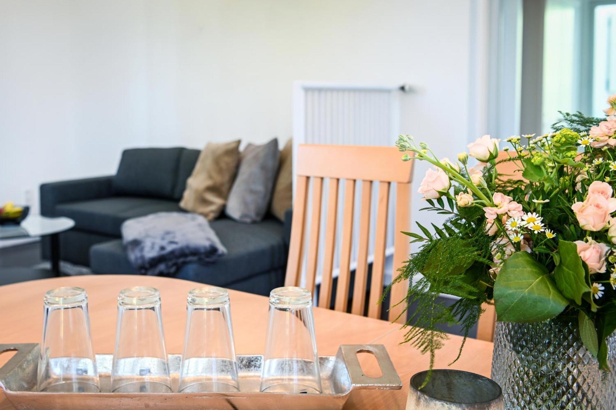 Muehlen-Apartment Im Herrenhaus Rheinblick 克桑滕 外观 照片